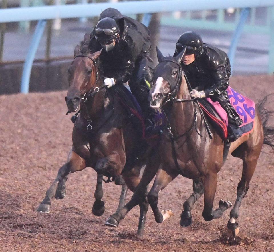 　３頭併せで活気十分の動きを見せたレガレイラ（左）＝撮影・園田高夫