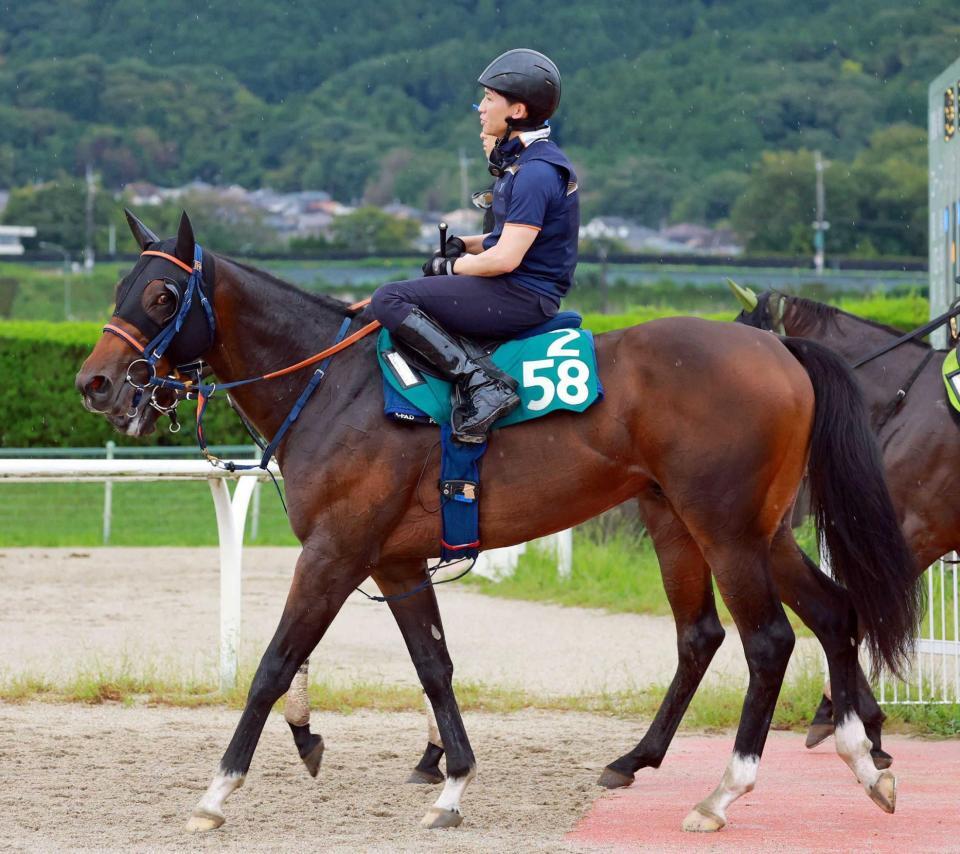 　好調エフフォーリア産駒のシホノノービレ