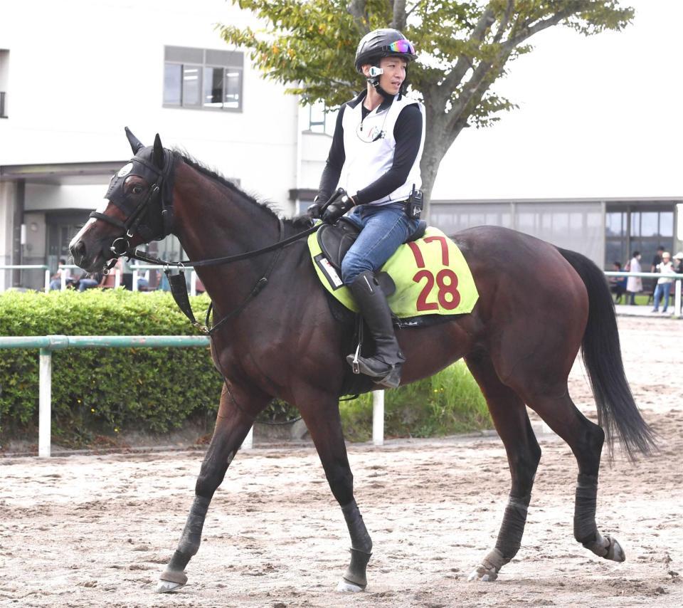 　勢いに乗るフライトライン産駒のレインボーフライト