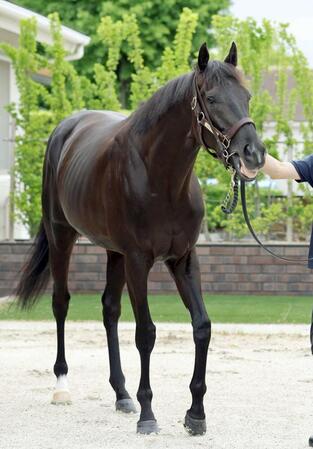 クロワデュノール