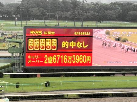 ターフビジョンに映るＷＩＮ５的中なしの結果