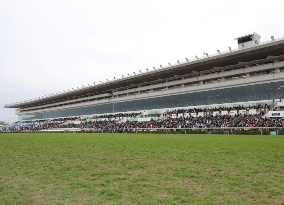 中山競馬場
