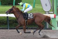 汐留特別を勝利した小林美騎手とモリノセピア