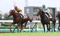 内から抜けるラプチュラス（左）