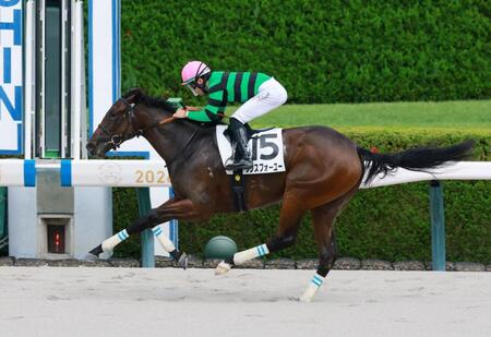 新馬戦を快勝したワンスフォーユー（撮影・石湯恒介）