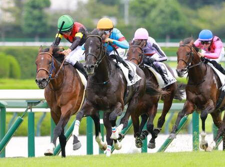 新馬戦を快勝したキングリア（左から２頭目）＝撮影・石湯恒介
