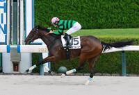 新馬戦を快勝したワンスフォーユー（撮影・石湯恒介）