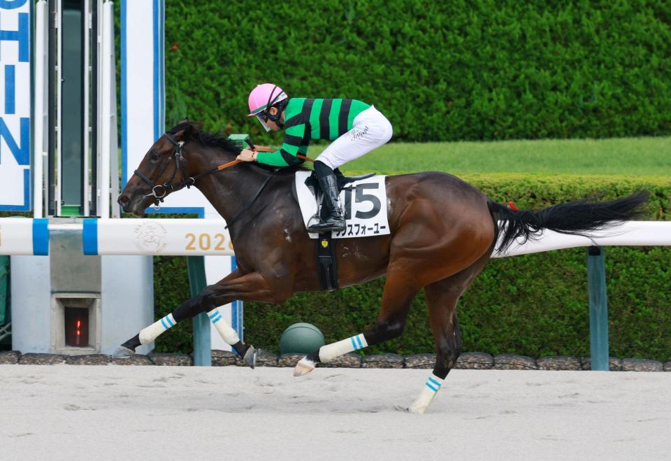 新馬戦を快勝したワンスフォーユー（撮影・石湯恒介）