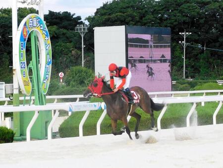 デビュー２戦目で重賞初勝利を挙げたジョイドール（撮影・中山伸治）