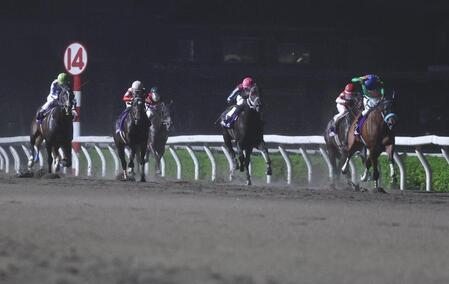 後続を突き放しオーバルスプリントを制したタガノミスト（右端）＝撮影・棚橋慶太