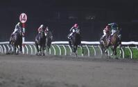 後続を突き放しオーバルスプリントを制したタガノミスト（右端）＝撮影・棚橋慶太