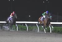 オーバルスプリントを制したタガノミスト（右）＝撮影・棚橋慶太