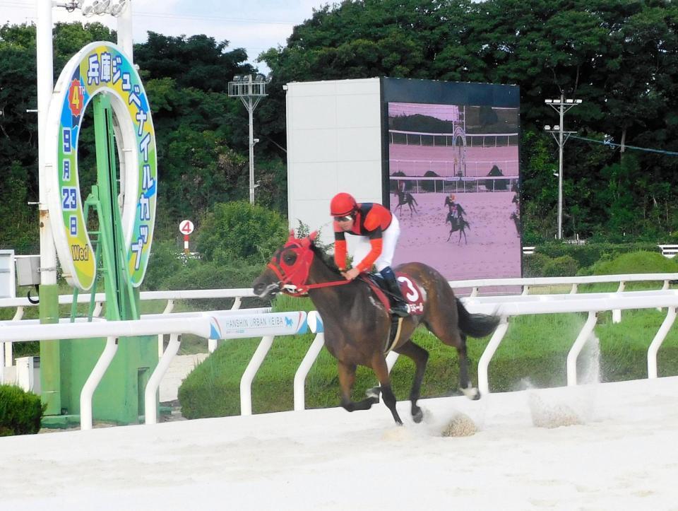 デビュー２戦目で重賞初勝利を挙げたジョイドール（撮影・中山伸治）
