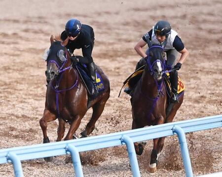 　力強い脚さばきで美浦Ｗを駆けたウインカーネリアン（左）＝撮影・園田高夫