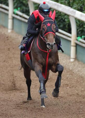 躍動感たっぷりに栗東坂路を駆け上がったフリッカージャブ（撮影・坂部計介）