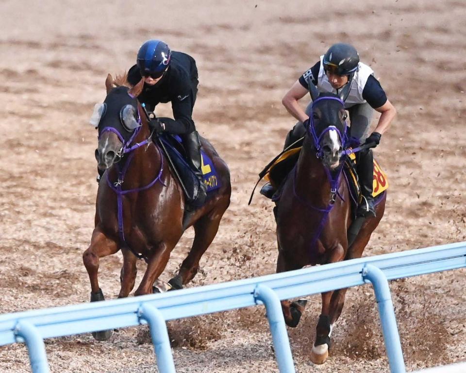 　力強い脚さばきで美浦Ｗを駆けたウインカーネリアン（左）＝撮影・園田高夫