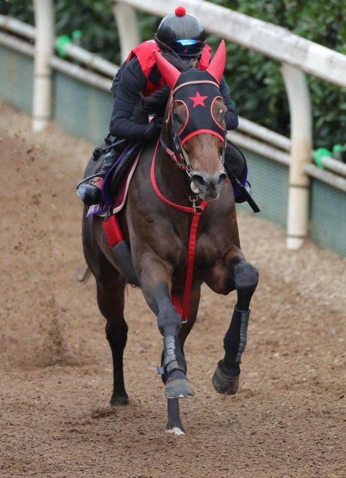 躍動感たっぷりに栗東坂路を駆け上がったフリッカージャブ（撮影・坂部計介）