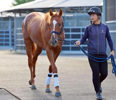 　近親に桜花賞馬がいる素質馬ノーマンデー