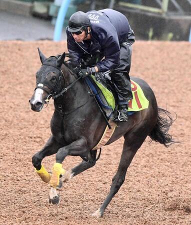 　Ｇ１・２勝のマリアライトを母に持つダイアナマリア