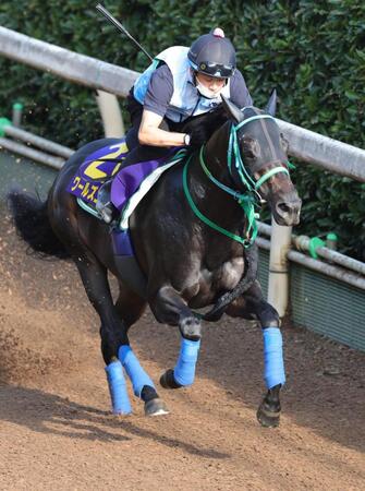 栗東坂路を駆け上がるワールズエンド（撮影・坂部計介）
