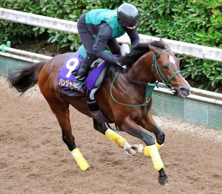 　Ｇ１・２勝目へ万全の仕上がりを見せたパンジャタワー（撮影・坂部計介）