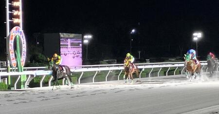 転入初戦で重賞初制覇を果たしたエコロガイア（左）＝撮影・中山伸治
