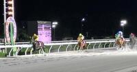 転入初戦で重賞初制覇を果たしたエコロガイア（左）＝撮影・中山伸治
