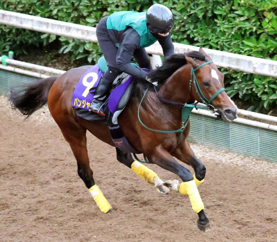 　Ｇ１・２勝目へ万全の仕上がりを見せたパンジャタワー（撮影・坂部計介）