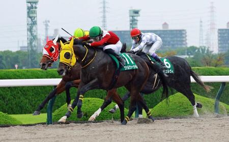 馬群をさばいて混戦を断ったヴァルツァーシャル（手前）＝撮影・石湯恒介