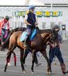 【スプリンターズＳ】展開で浮上するのはこの馬だ