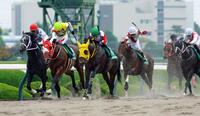 馬群をさばいて混戦を断ったヴァルツァーシャル（中央）＝撮影・石湯恒介