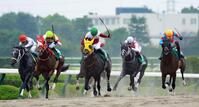 馬群をさばいて混戦を断ったヴァルツァーシャル（中央）＝撮影・石湯恒介