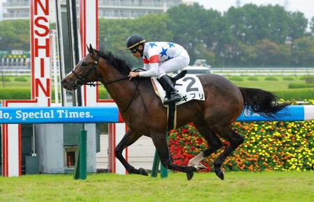 新馬戦を快勝したギブリ（撮影・石湯恒介）