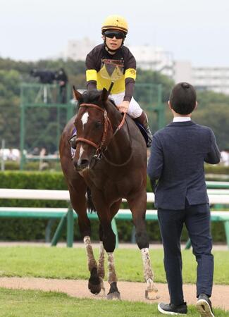 １５着に敗れたパンジャタワー
