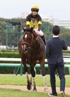 １５着に敗れたパンジャタワー