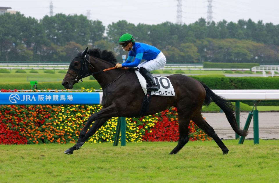 新馬戦を快勝したネーロノワール（撮影・石湯恒介）