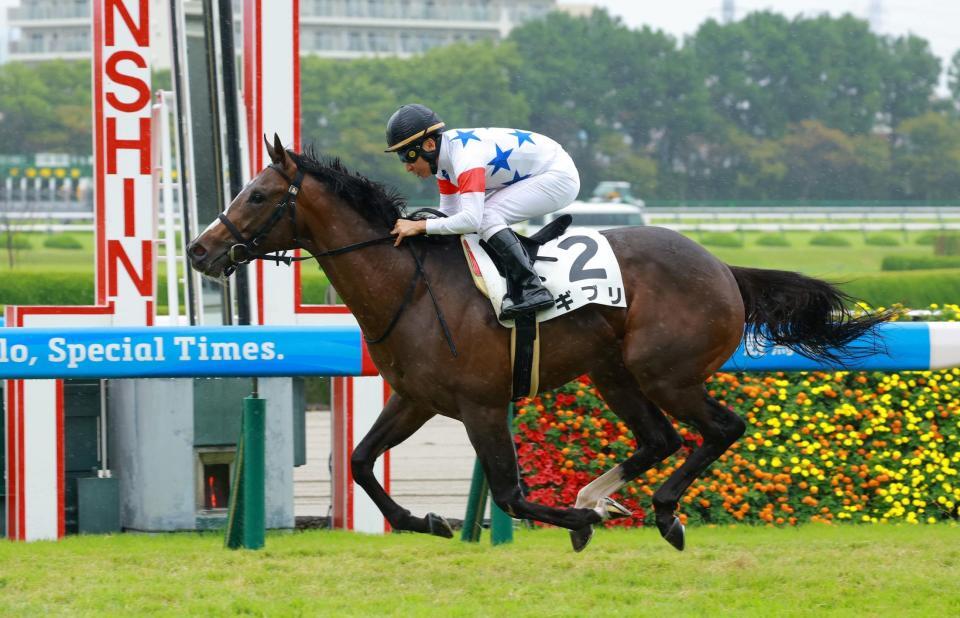 新馬戦を快勝したギブリ（撮影・石湯恒介）
