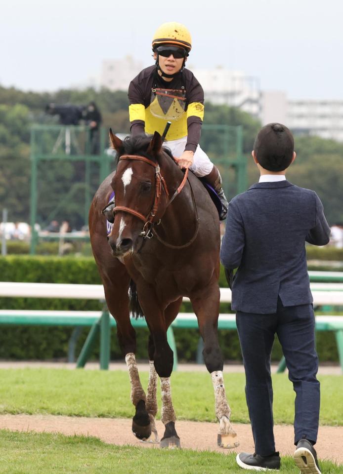 １５着に敗れたパンジャタワー