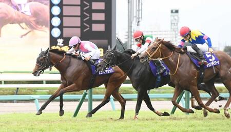 　スプリンターズＳを制したピューロマジック（左）＝撮影・園田高夫