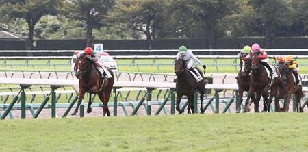 新馬戦を制したミエノヴィヴィッド（左）＝撮影・園田高夫