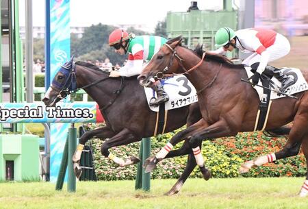 新馬戦を制したダイアナマリア（左）＝撮影・園田高夫