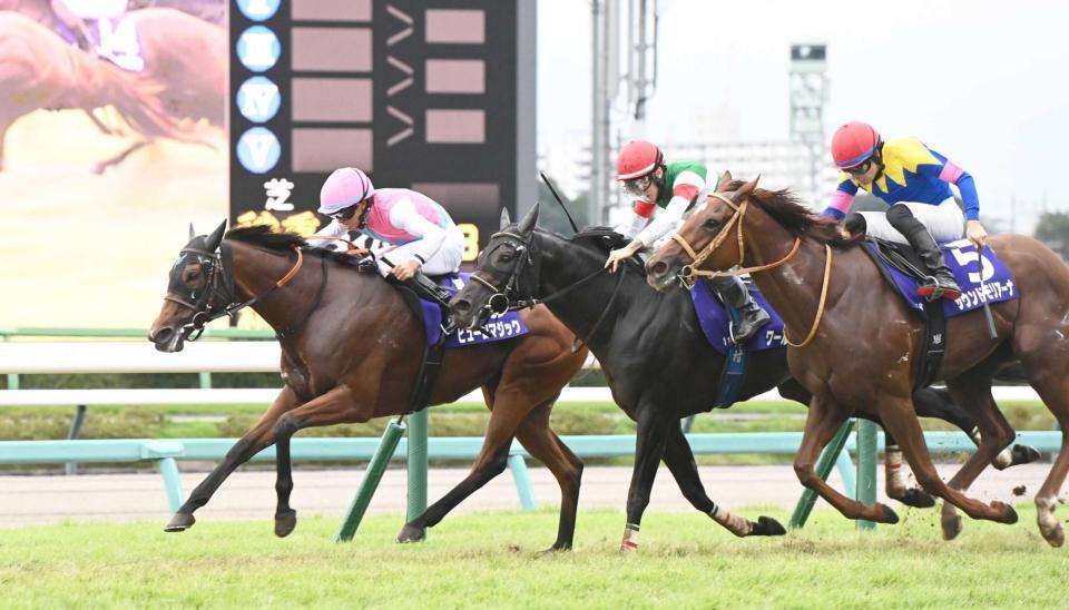 　スプリンターズＳを制したピューロマジック（左）＝撮影・園田高夫