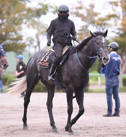 　初めて古馬に挑む重賞２勝馬リアライズシリウス