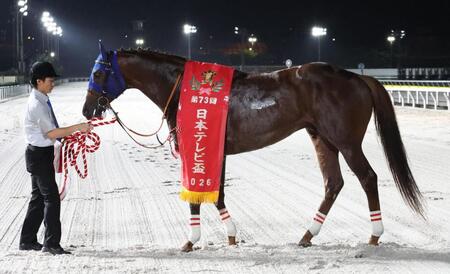日本テレビ盃を制したミッキーファイト