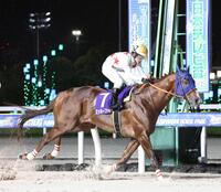 日本テレビ盃を制したミッキーファイト