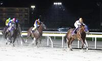 日本テレビ盃を制したミッキーファイト（右）