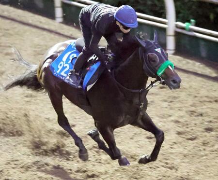 　キビキビと栗東坂路を駆け上がったサトノシャイニング（撮影・坂部計介）