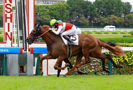 未勝利戦を制したショウナンバトレニ＝９月１２日