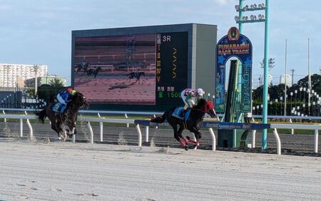 新馬戦を楽勝したワッショイ（右）