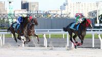 新馬戦で勝利したワッショイ（右）